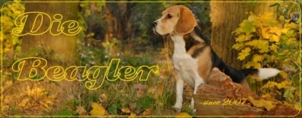DieBeagler