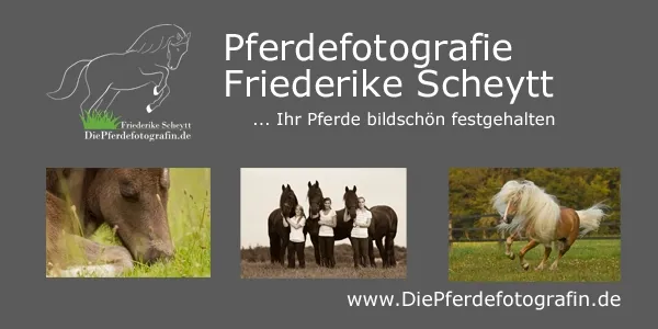DiePferdefotografin