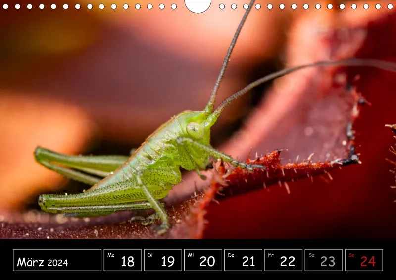 Der Makrokalender 2024
