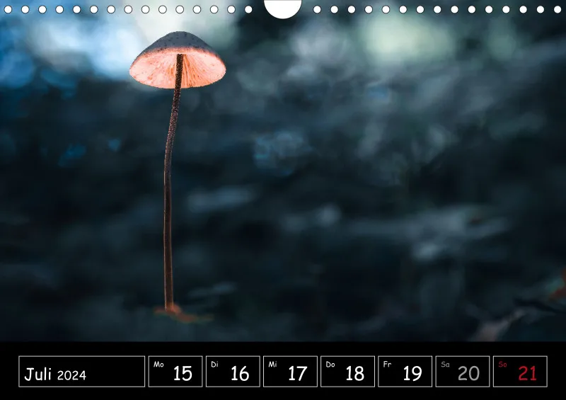 Der Makrokalender 2024