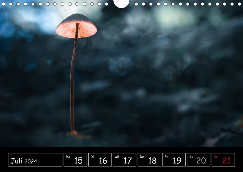 Der Makrokalender 2024