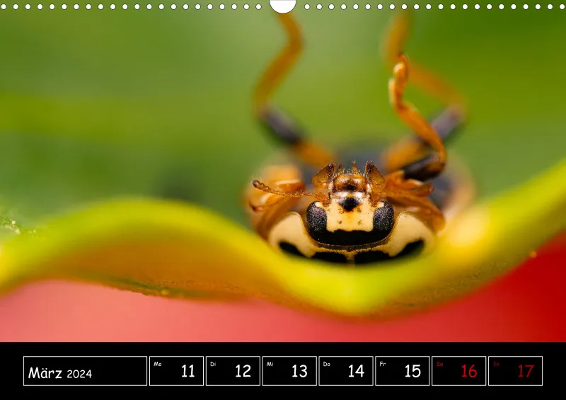 Der Makrokalender 2024