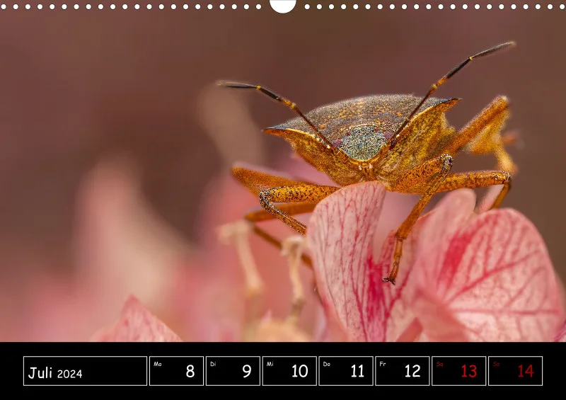 Der Makrokalender 2024