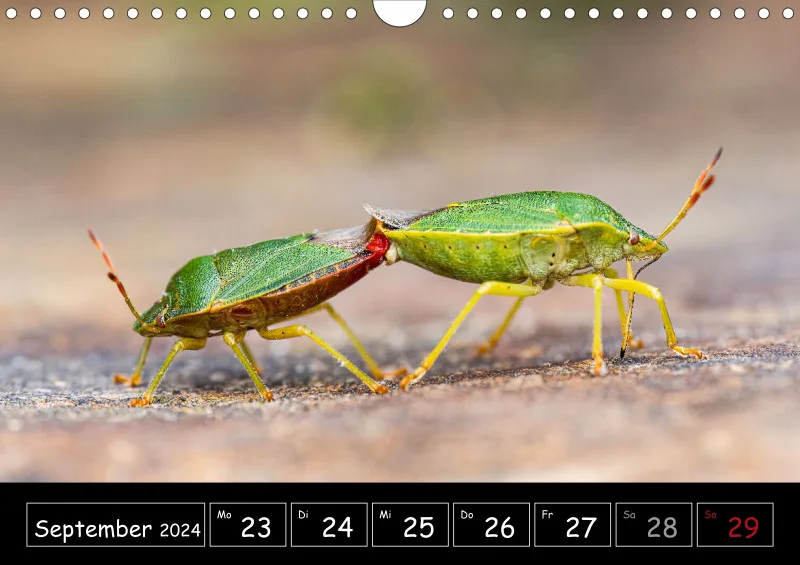Der Makrokalender 2024