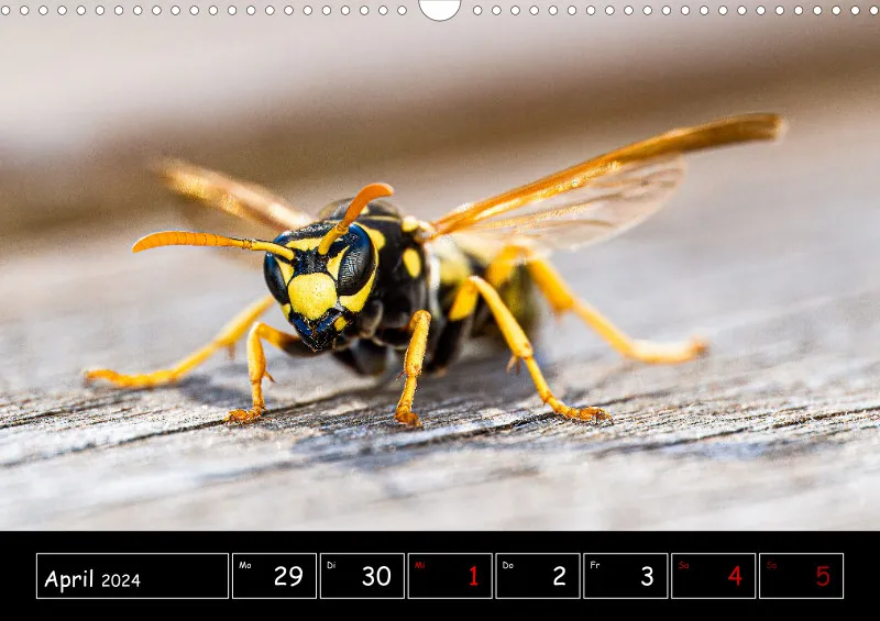 Der Makrokalender 2024