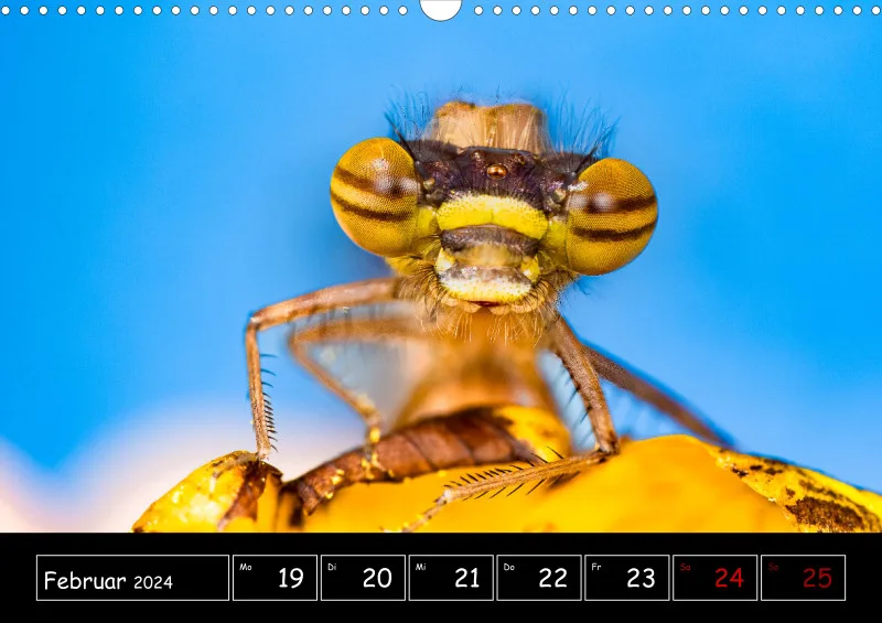 Der Makrokalender 2024