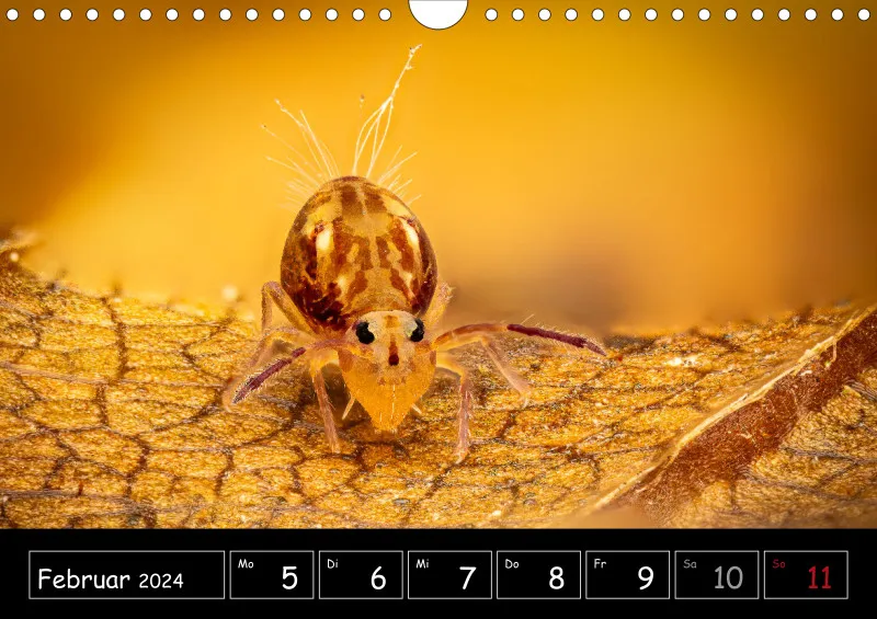 Der Makrokalender 2024
