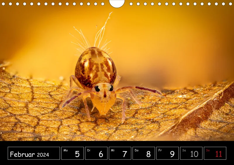 Der Makrokalender 2024