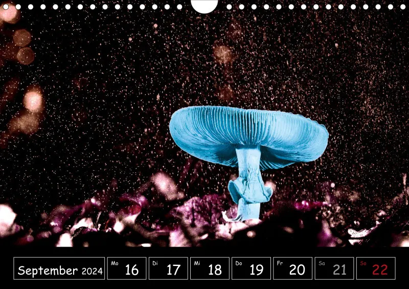 Der Makrokalender 2024