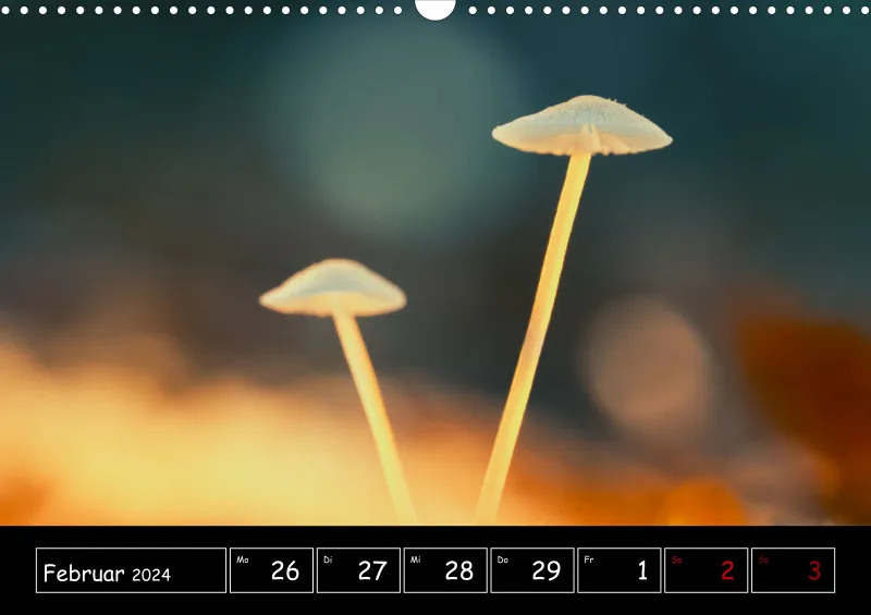 Der Makrokalender 2024