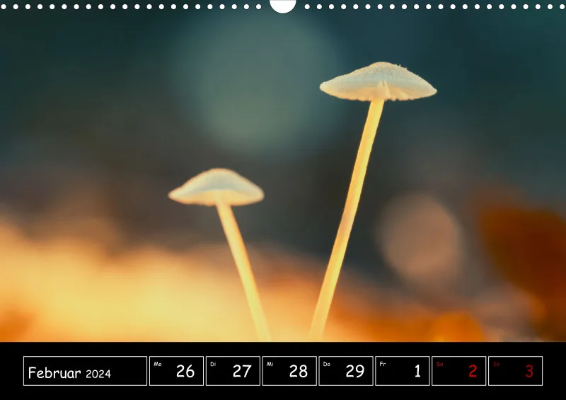Der Makrokalender 2024