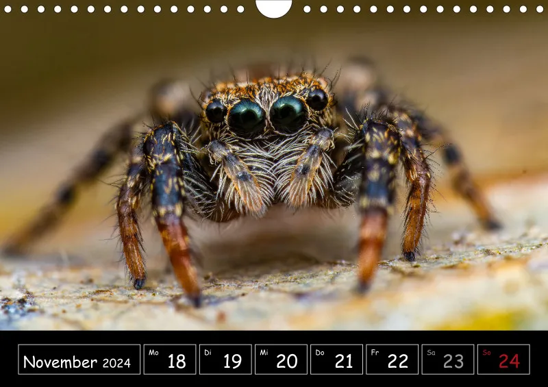 Der Makrokalender 2024