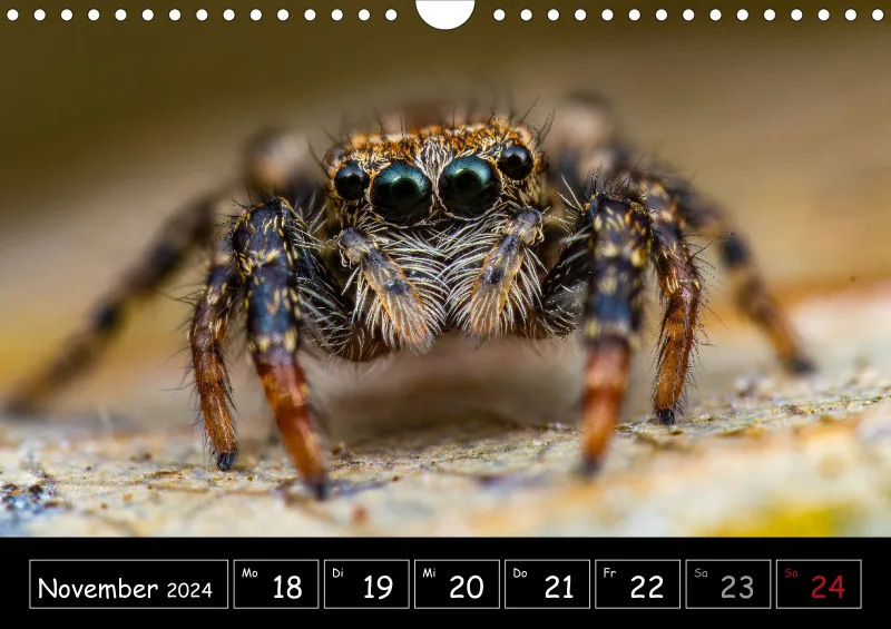 Der Makrokalender 2024