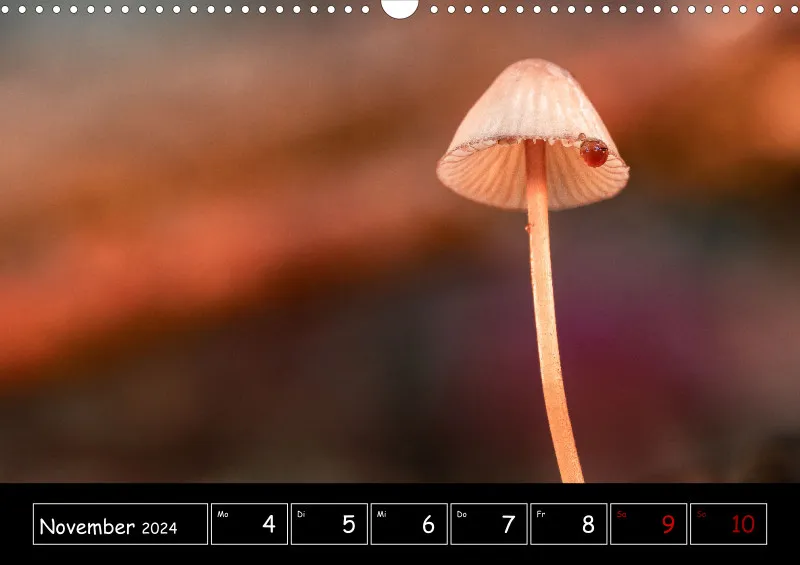 Der Makrokalender 2024