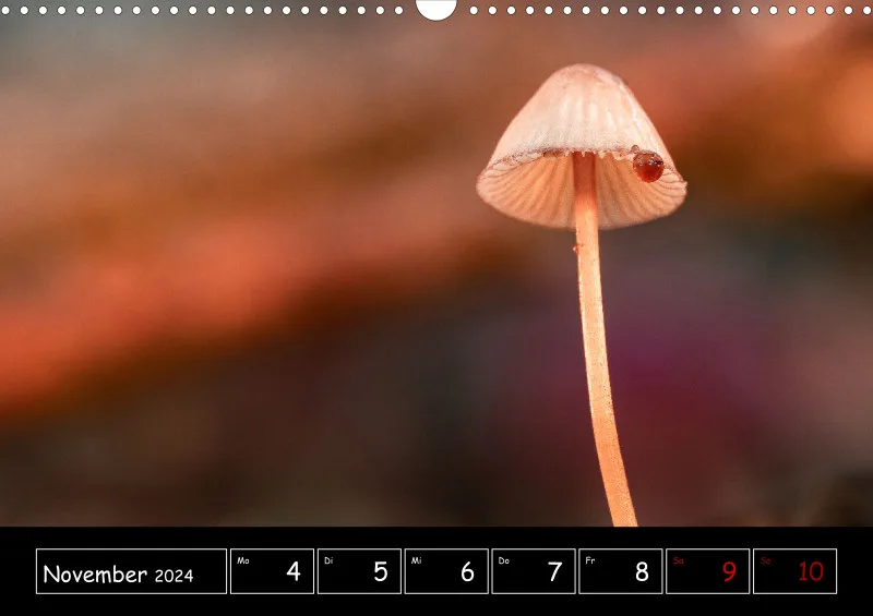 Der Makrokalender 2024