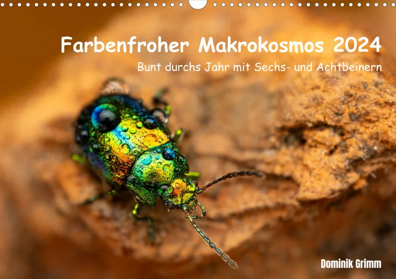 Farbenfroher Makrokosmos 2024