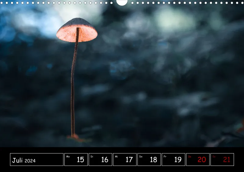 Der Makrokalender 2024