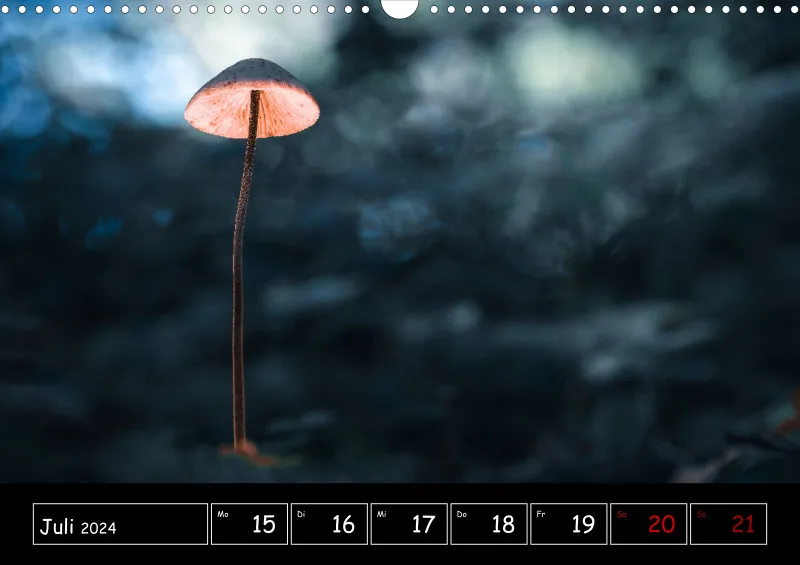 Der Makrokalender 2024