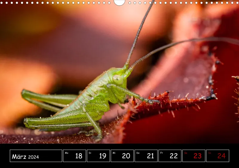 Der Makrokalender 2024
