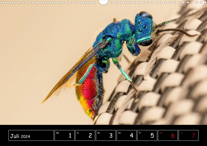 Der Makrokalender 2024