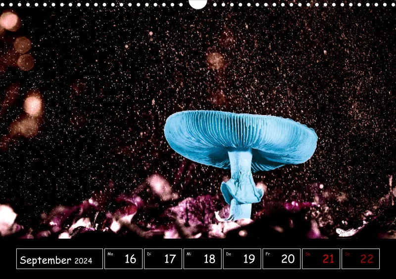 Der Makrokalender 2024