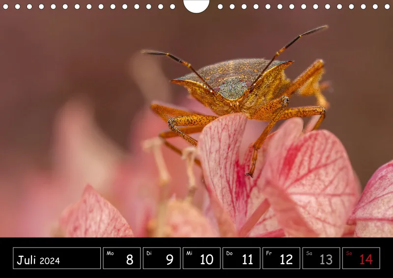 Der Makrokalender 2024