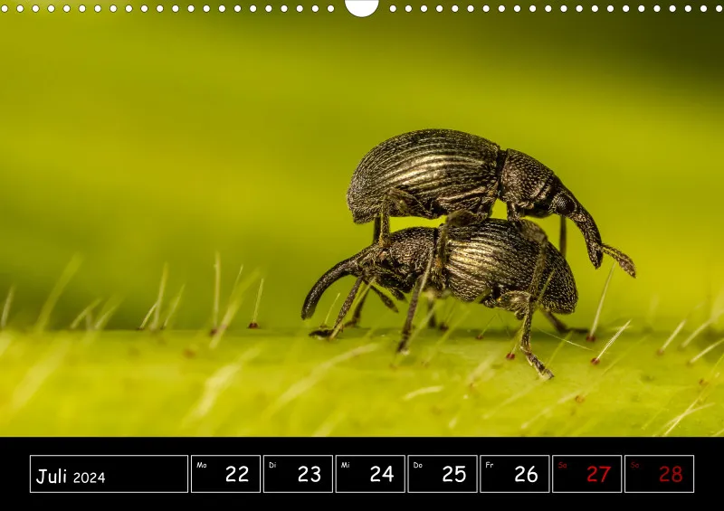 Der Makrokalender 2024