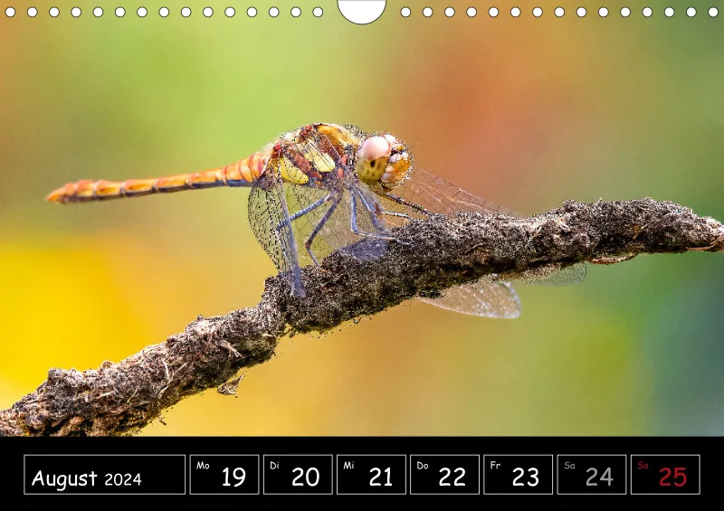 Der Makrokalender 2024
