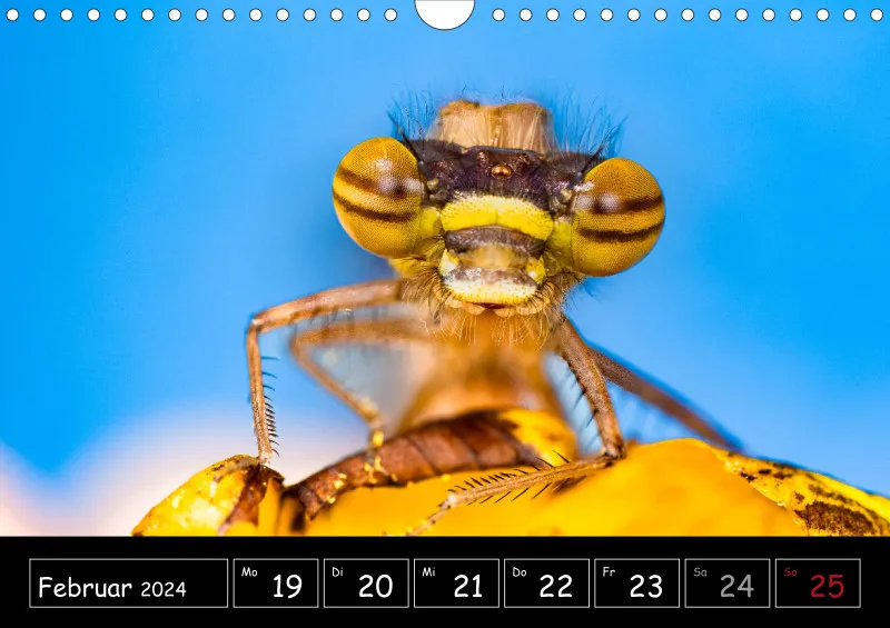 Der Makrokalender 2024