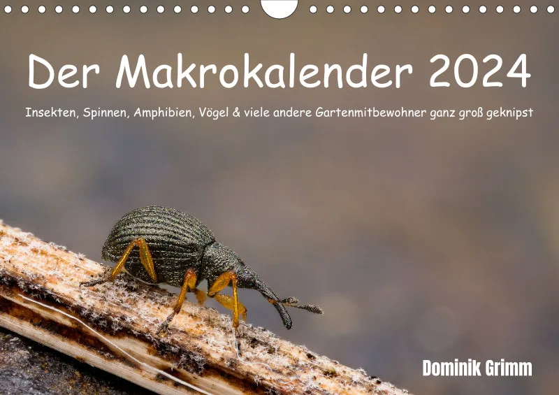 Der Makrokalender 2024