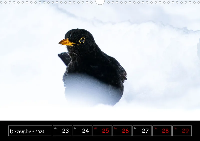 Der Makrokalender 2024