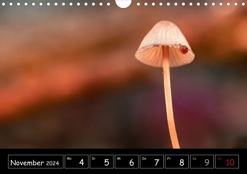 Der Makrokalender 2024