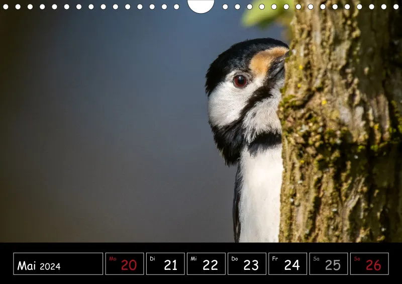 Der Makrokalender 2024