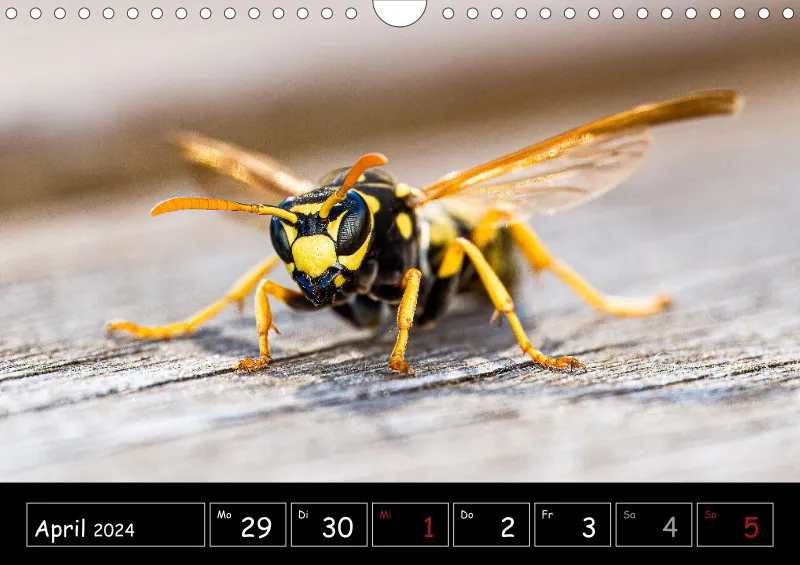 Der Makrokalender 2024