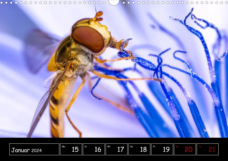 Der Makrokalender 2024