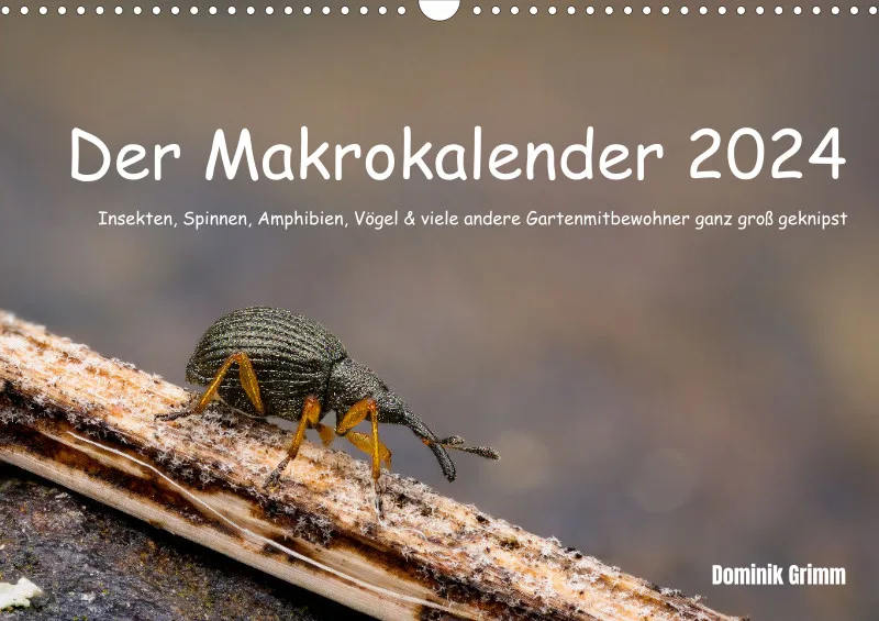 Der Makrokalender 2024