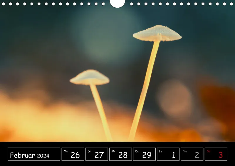 Der Makrokalender 2024