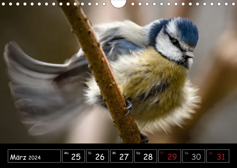 Der Makrokalender 2024