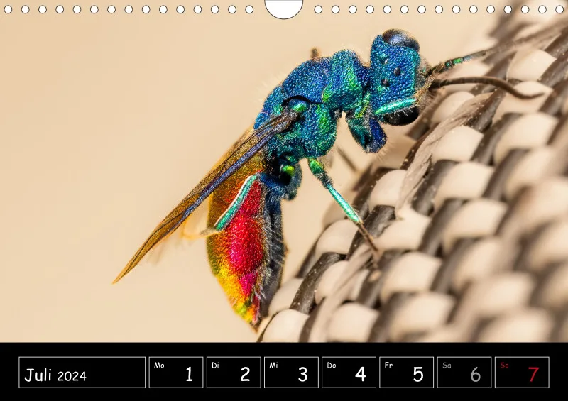 Der Makrokalender 2024