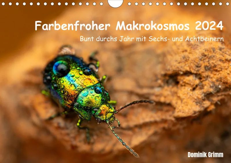 Farbenfroher Makrokosmos 2024