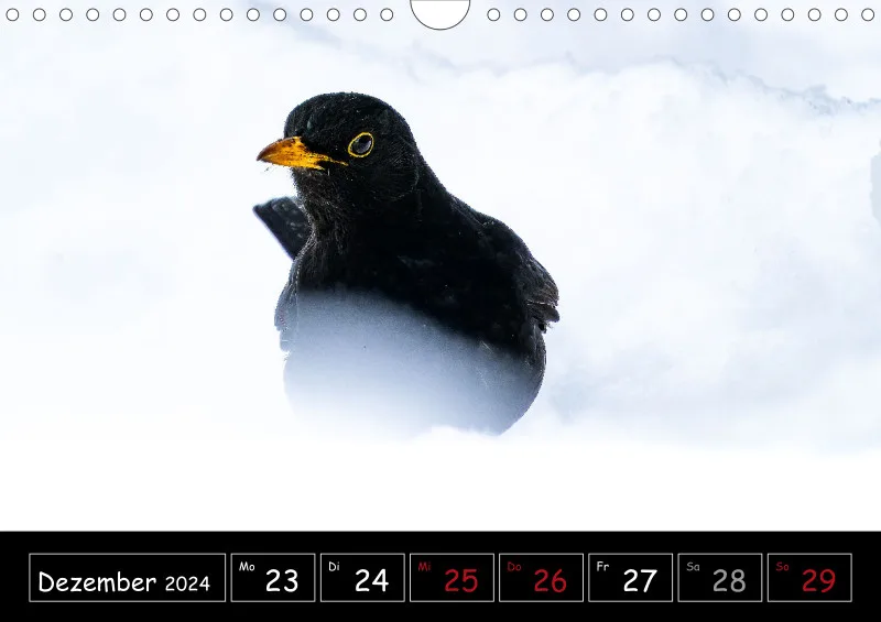 Der Makrokalender 2024
