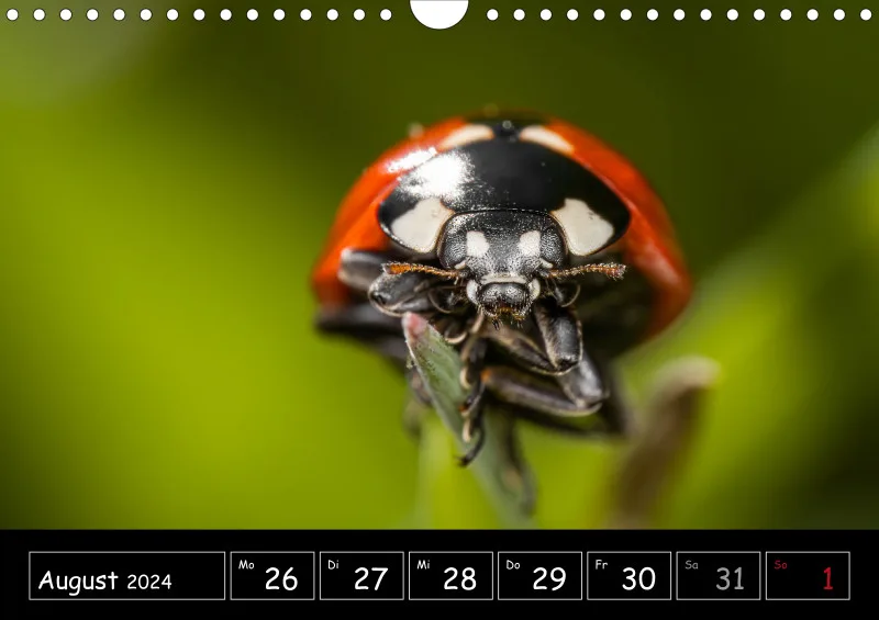 Der Makrokalender 2024