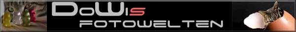 DoWis-Fotowelten - Katzen & mehr