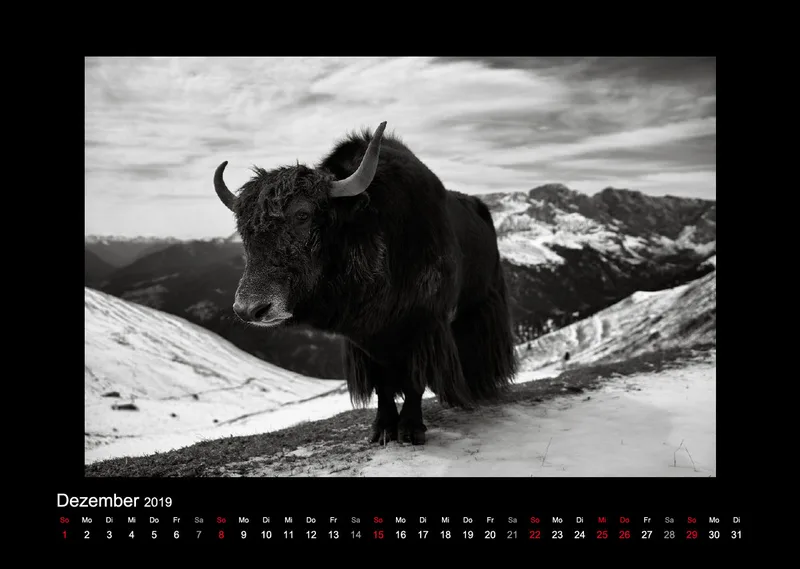 Landschaften 2019