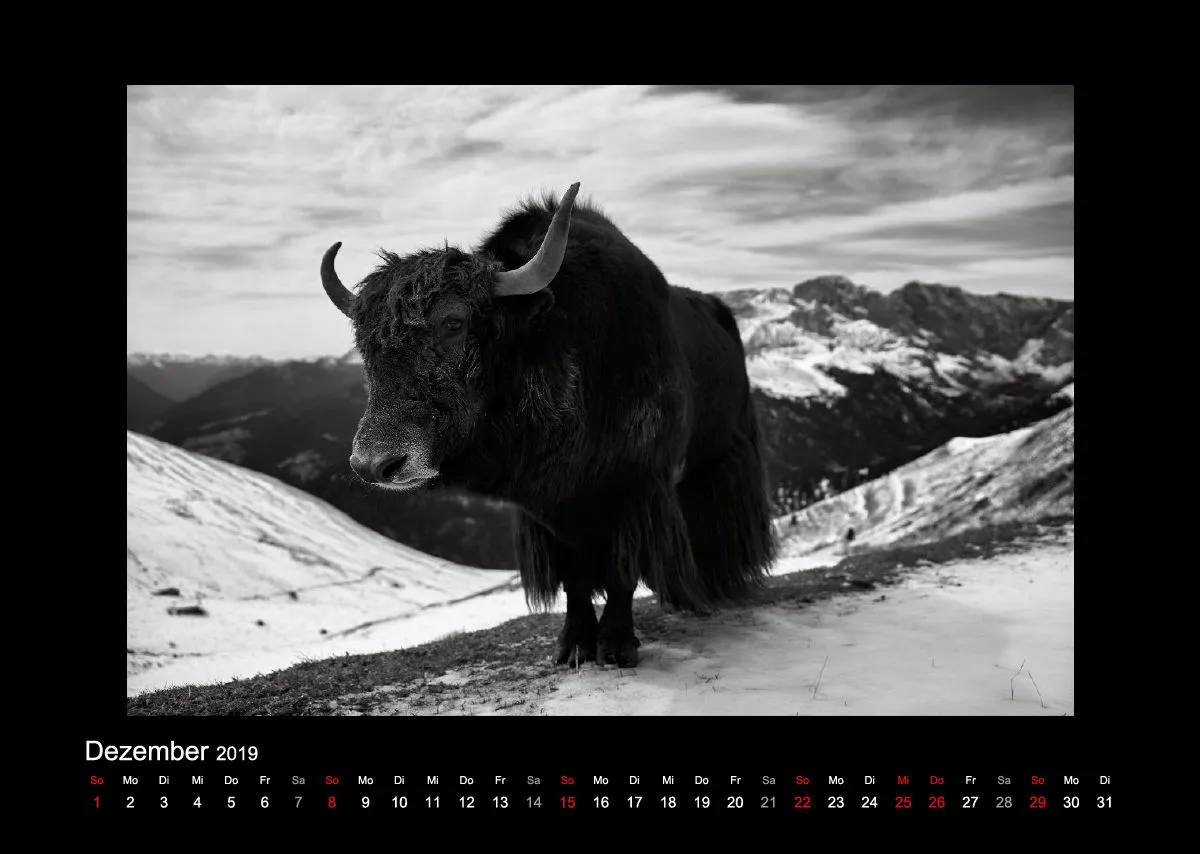 Landschaften 2019