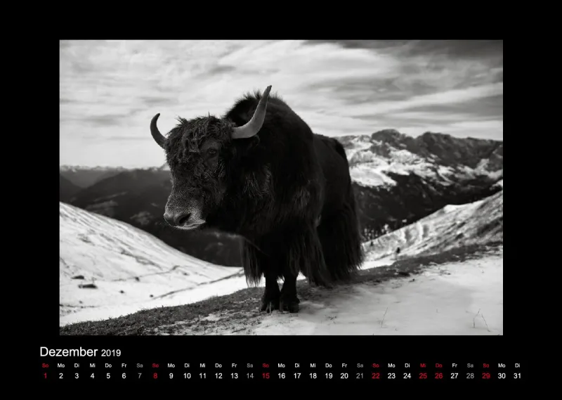 Landschaften 2019