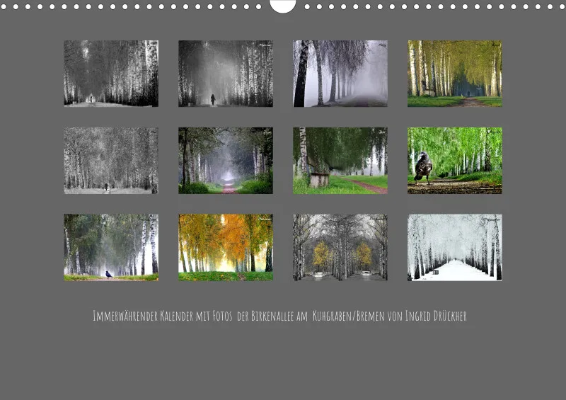 Bildkalender/ Birkenallee / A3