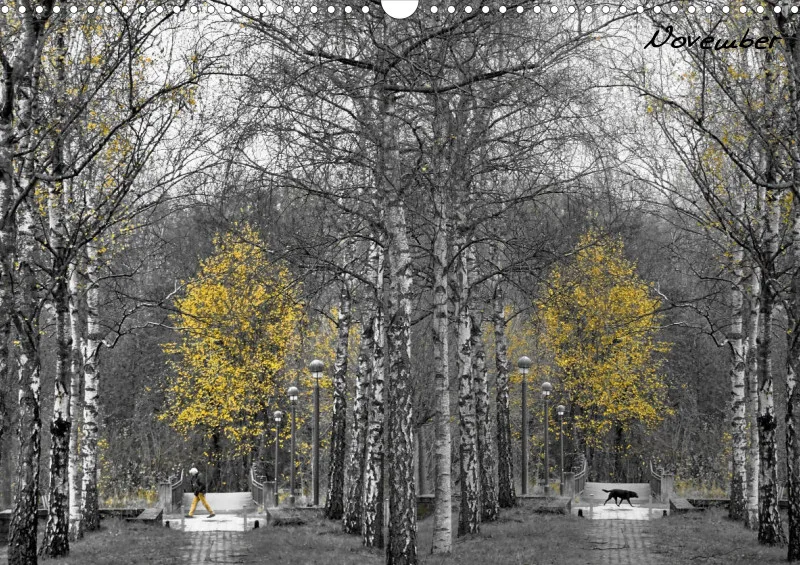 Bildkalender/ Birkenallee / A3