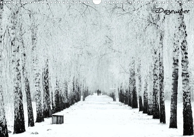 Bildkalender/ Birkenallee / A3