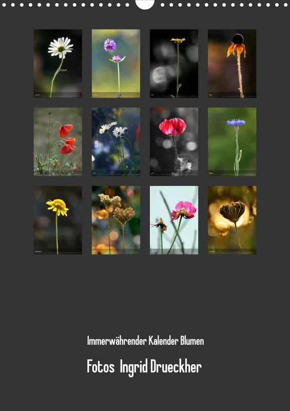Fotokalender / Blumen